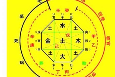 八字守護神|生辰八字算命、五行喜用神查询（免费测算）